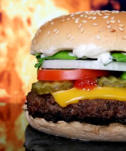 Hamburger